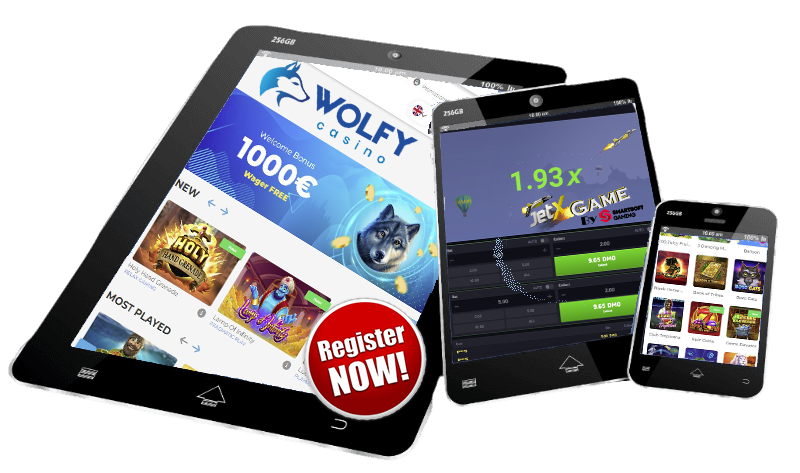 The Wolfy Casino General Information & Interesting Facts