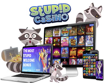 Stupid Casino Review