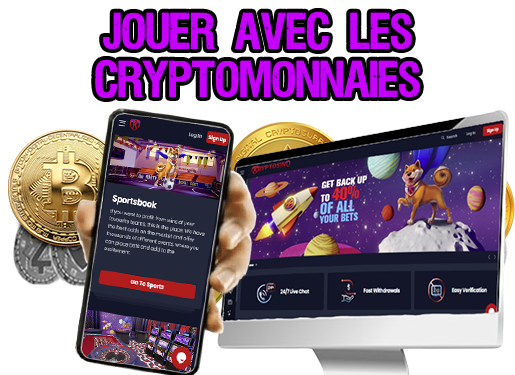 quel type de casino recherchez-vous - JOUEZ AVEC DES CRYPTOMONNAIES