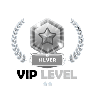 2. Silver Level VIP: Elevate Your Game
